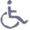 access icon